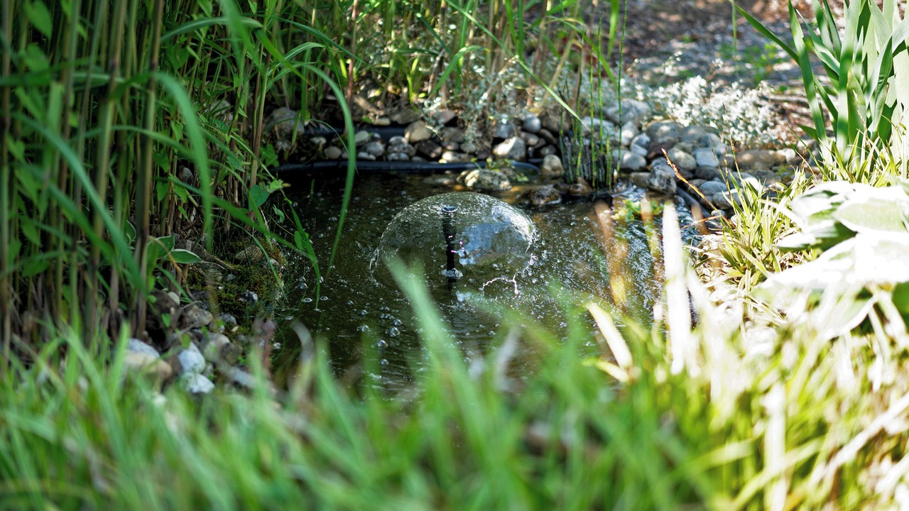 Photo of Outdoor in Munchen District