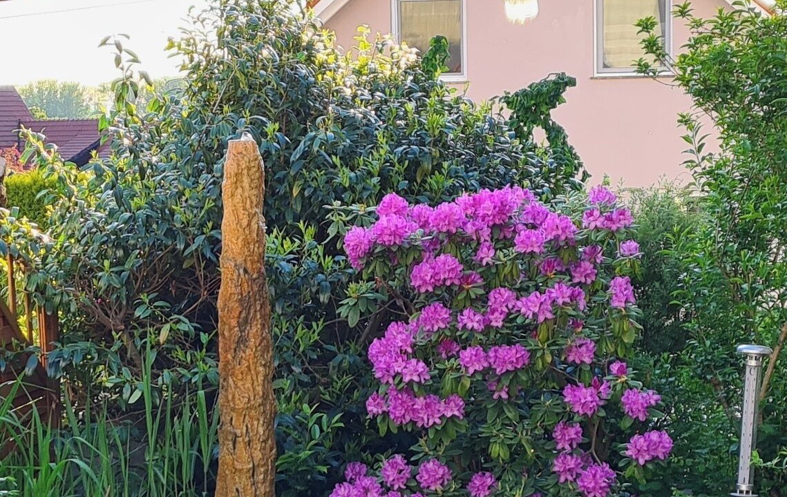 Photo of Outdoor in Zapfendorf