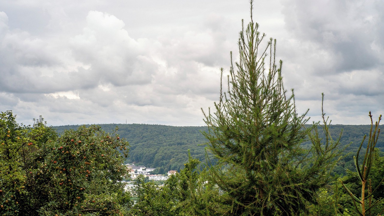 Photo of Others in Ihrlerstein