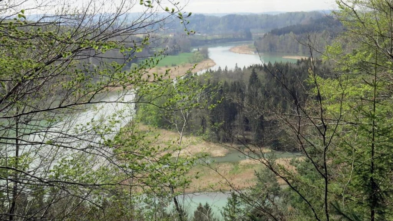 Photo of Others in Dietmannsried