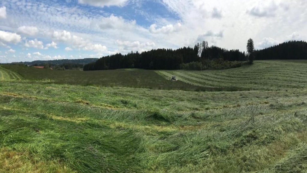 Photo of Others in Dietmannsried