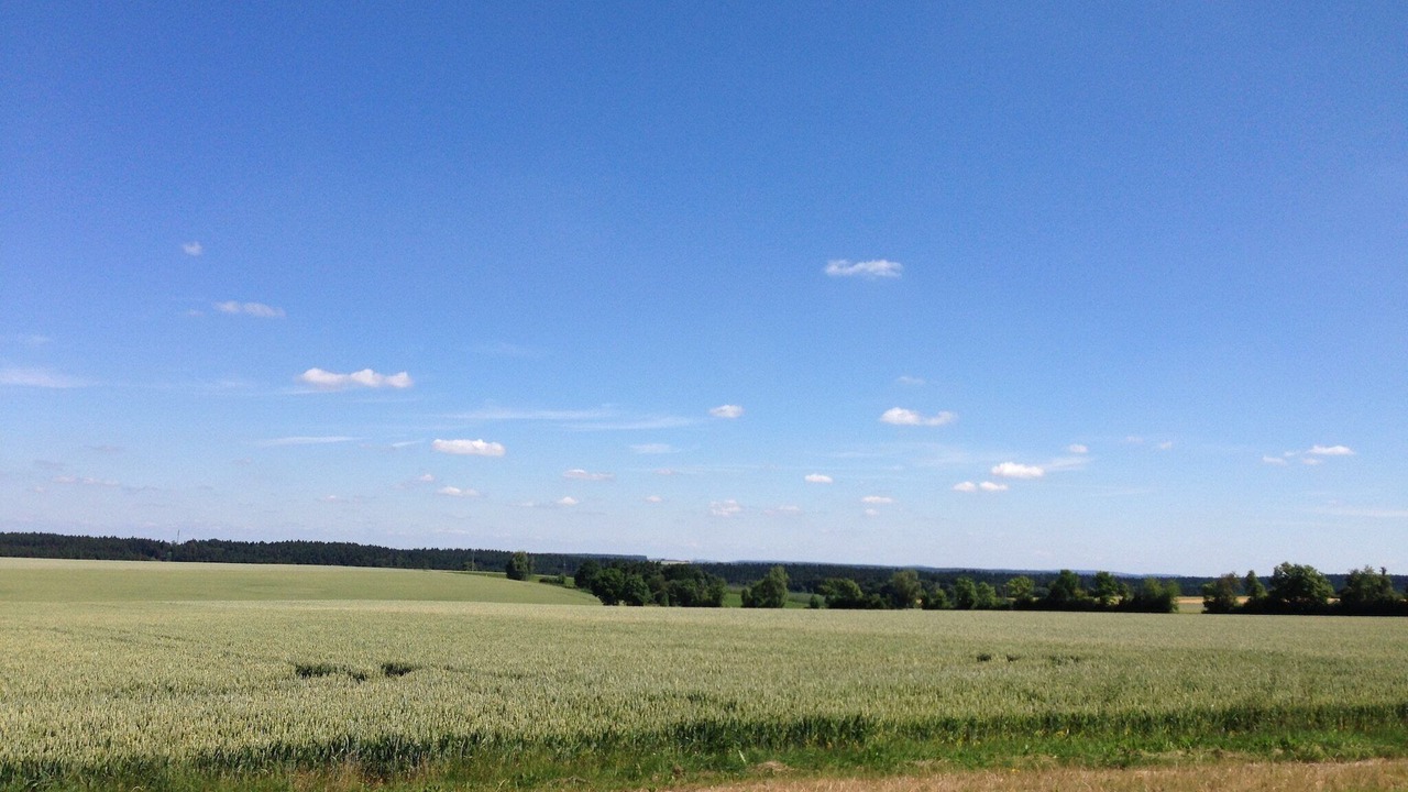 Photo of Others in Prunn