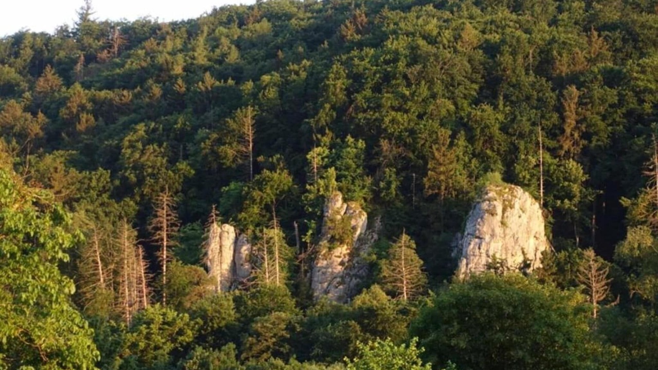Photo of Others in Prunn