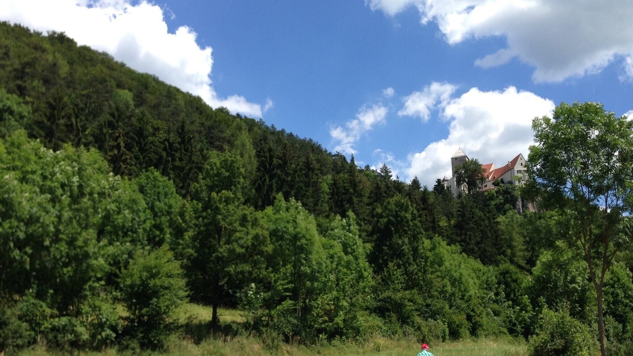 Photo of Others in Prunn