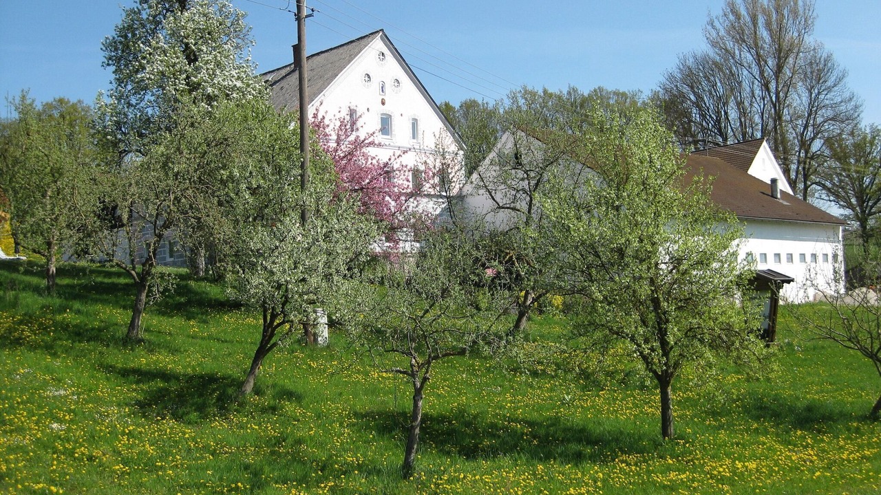 Photo of Outdoor in Rotthalmuenster