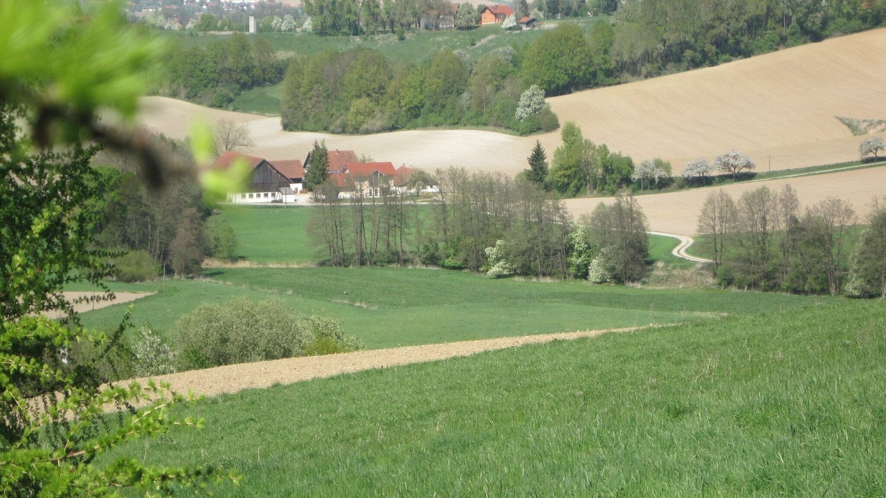 Photo of Others in Rotthalmuenster