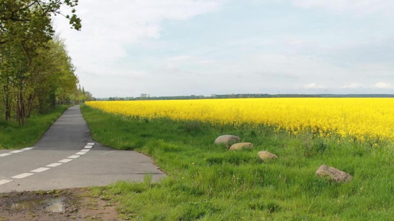 Photo of Others in Damshagen