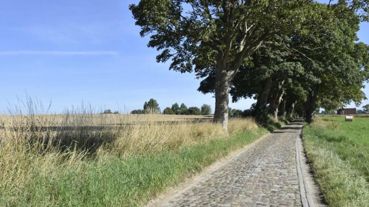 Photo of Others in Damshagen