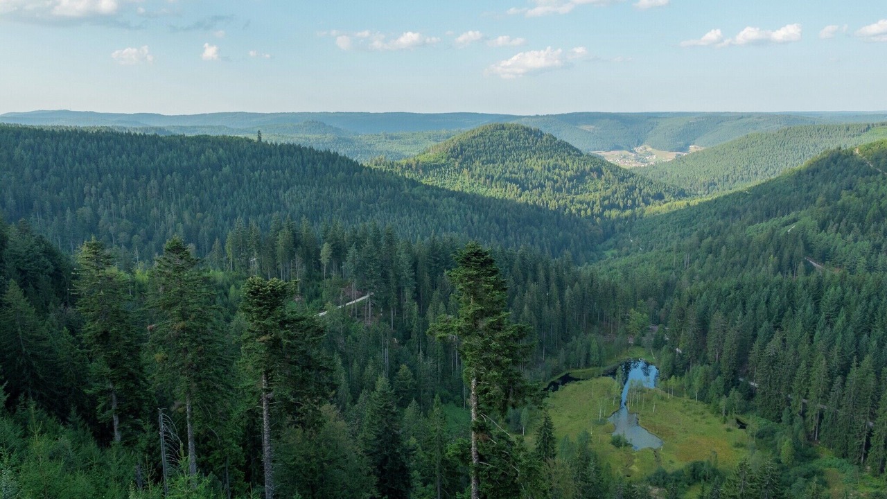 Photo of Others in Kniebis