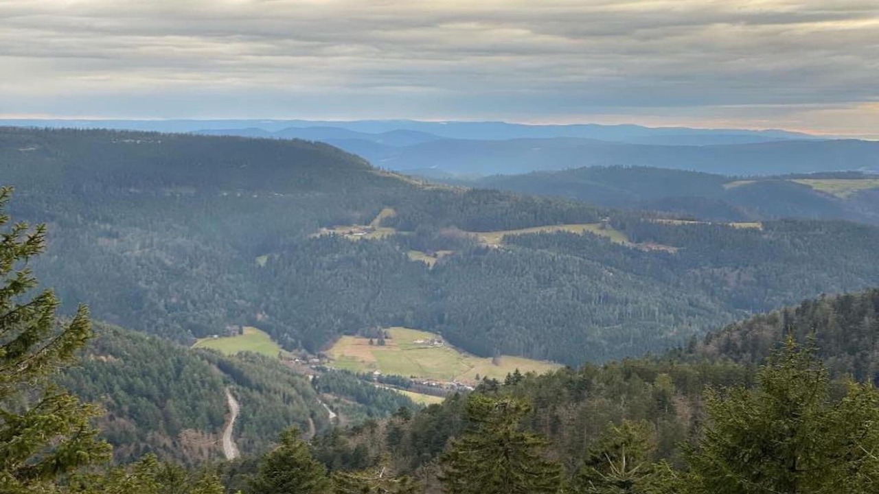 Photo of Others in Kniebis