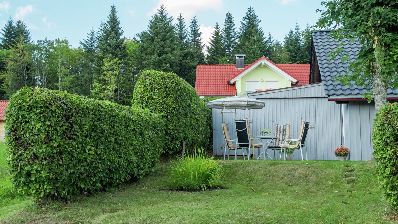 Photo of Outdoor in Kniebis
