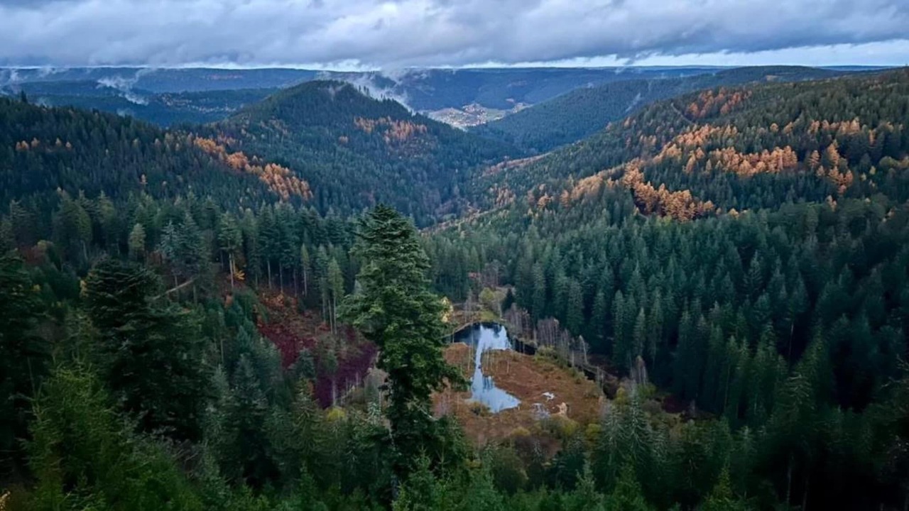 Photo of Others in Kniebis