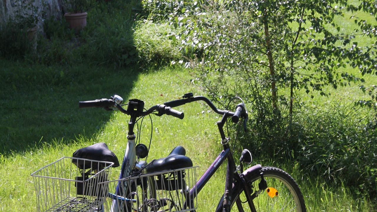 Photo of Outdoor in Steffenshagen