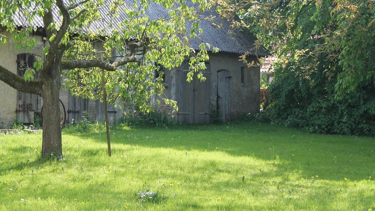 Photo of Outdoor in Steffenshagen