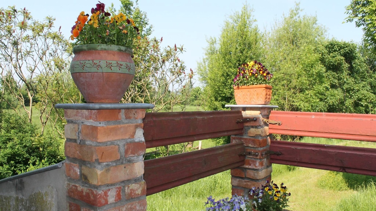 Photo of Patio Balcony in Steffenshagen