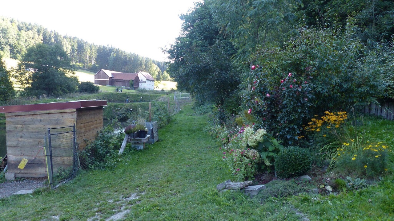 Photo of Outdoor in Schoensee