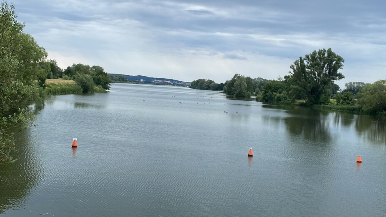 Photo of Others in Frickenfelden