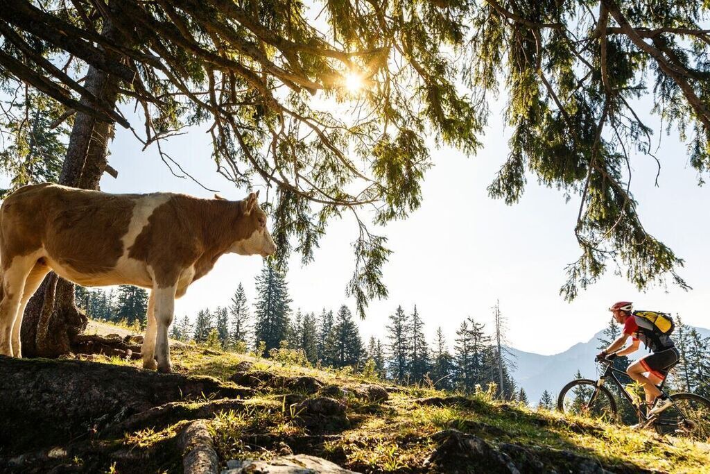 Photo of Outdoor in Ruhpolding