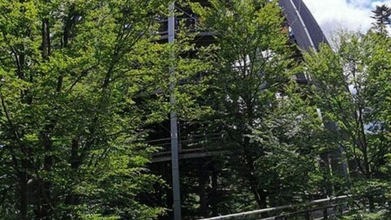 Photo of Outdoor in Schofweg