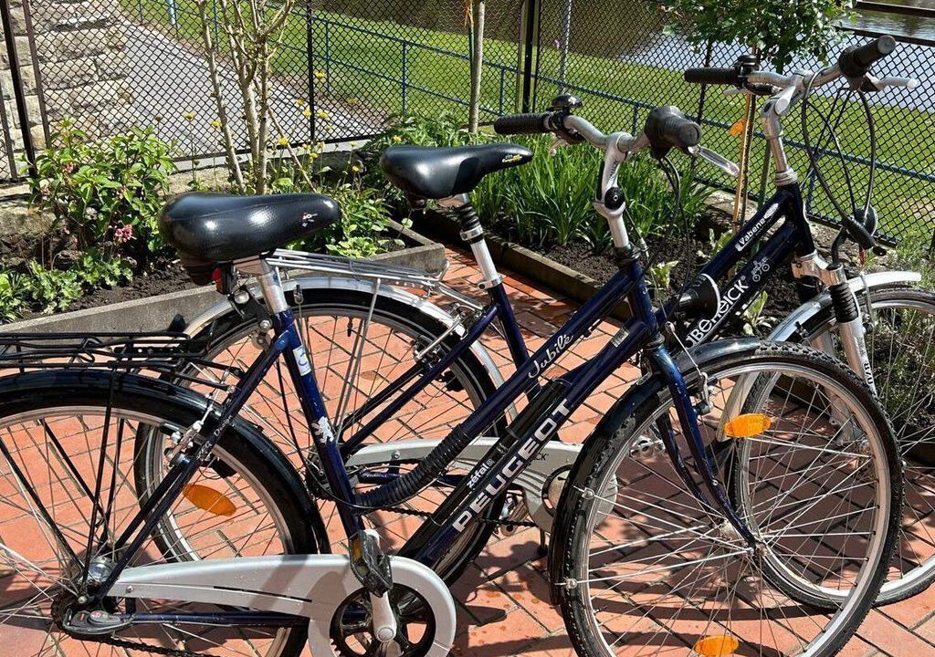 Photo of Outdoor in Stadt Wehlen