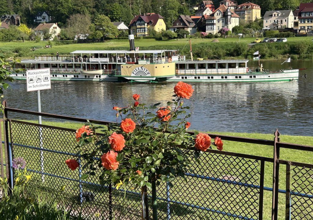 Photo of Others in Stadt Wehlen