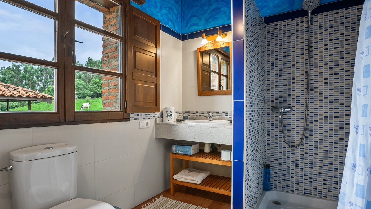 Photo of Bathroom in Carreno