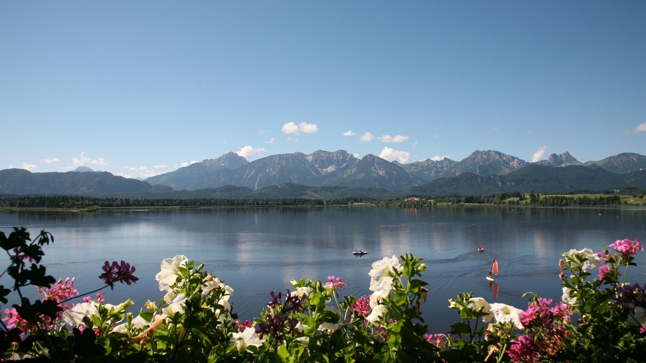 Photo of Others in Hopfen am See