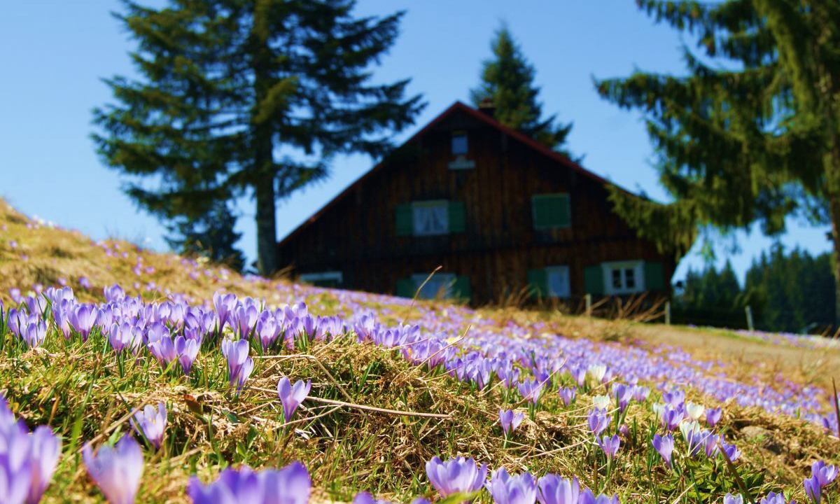 Photo of Outdoor in Oberstaufen