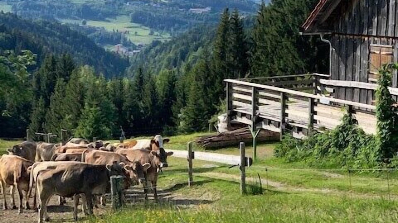 Photo of Outdoor in Oberstaufen