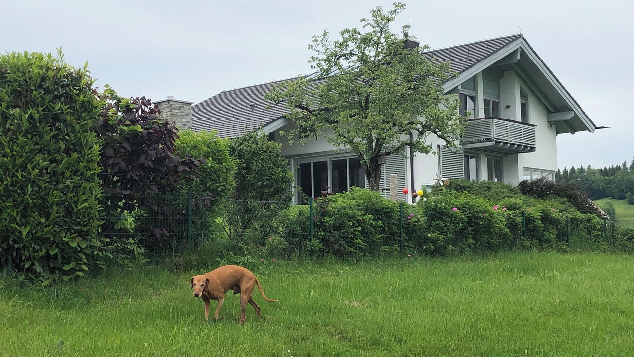 Photo of Outdoor in Frasdorf