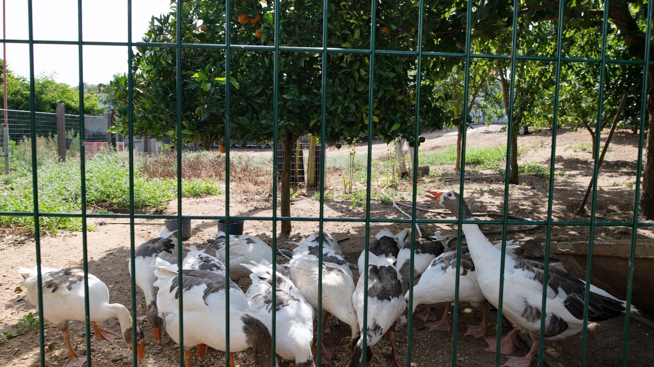 Photo of Others in Barbate