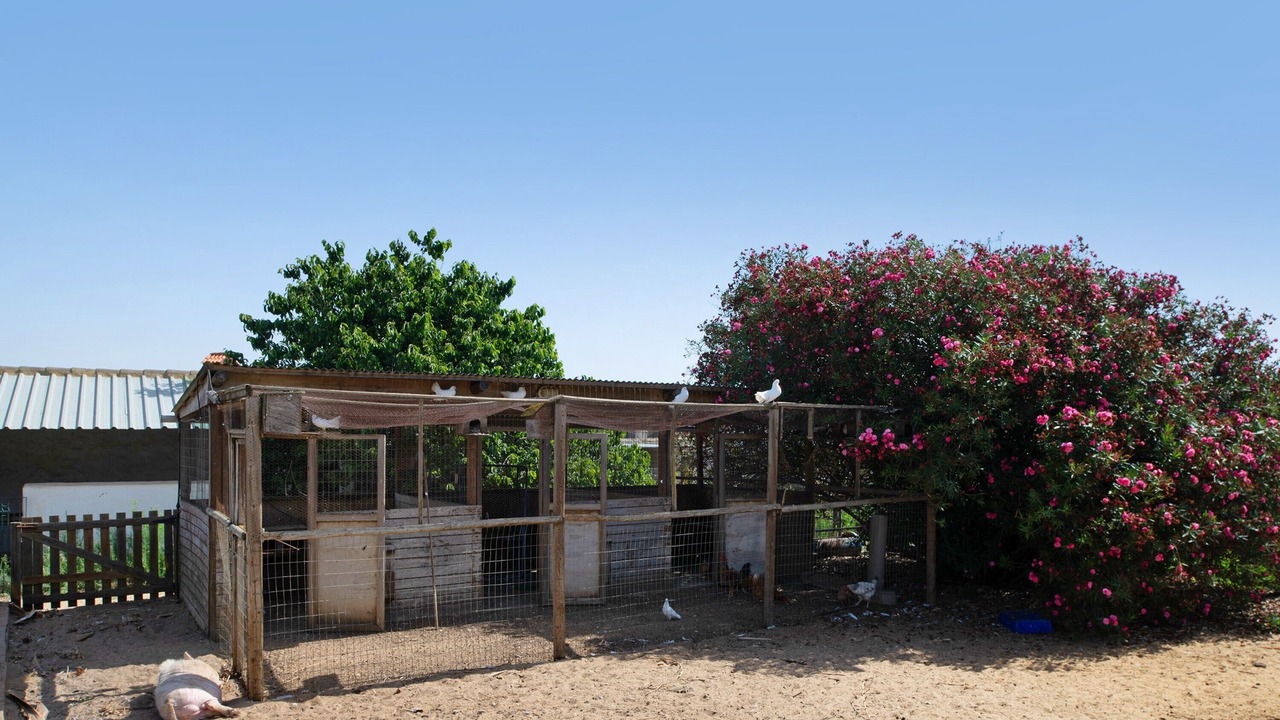 Photo of Outdoor in Barbate