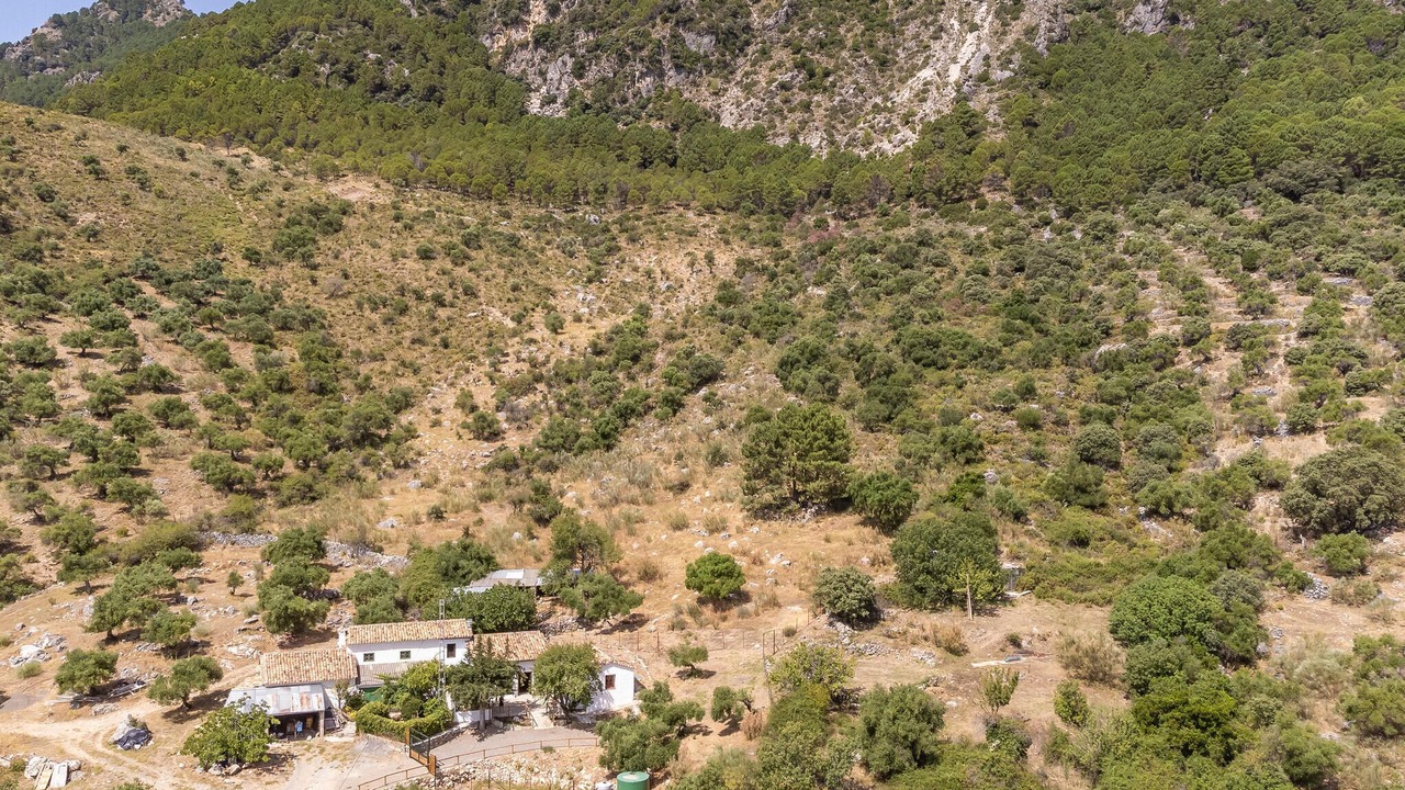 Photo of Others in Grazalema
