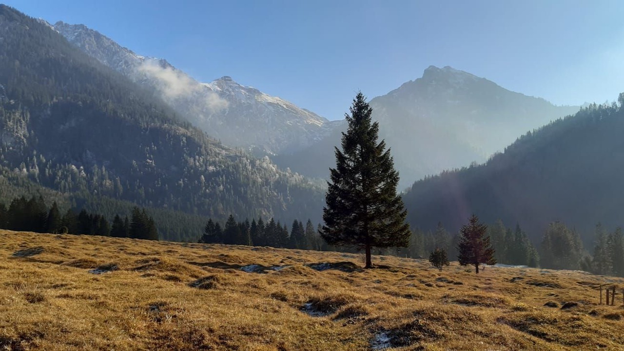Photo of Others in Hinterstein