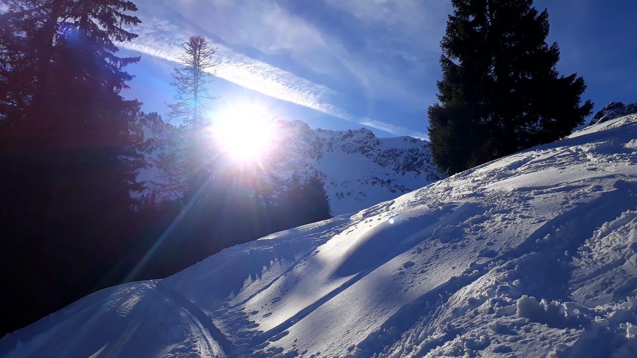 Photo of Others in Hinterstein