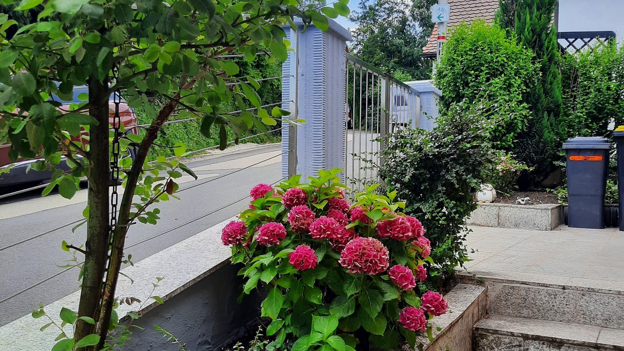 Photo of Outdoor in Graefenberg