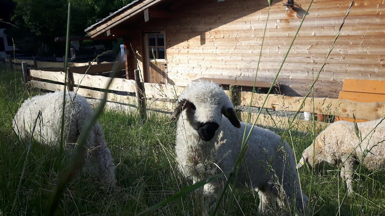 Photo of Outdoor in Weissbach