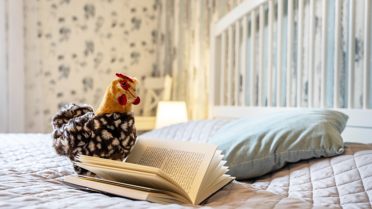 Photo of Bedroom in Lohmen