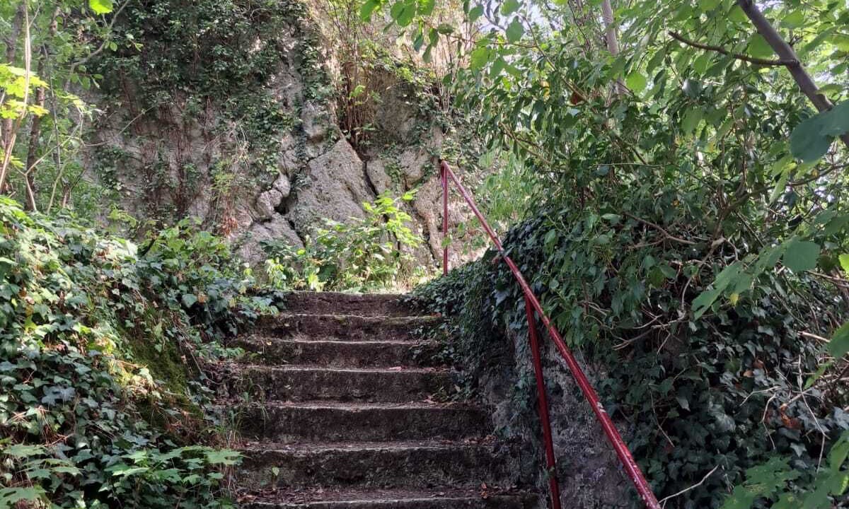 Photo of Outdoor in Wallerstein