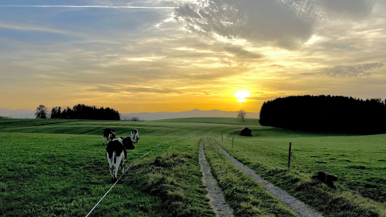 Photo of Others in Haldenwang