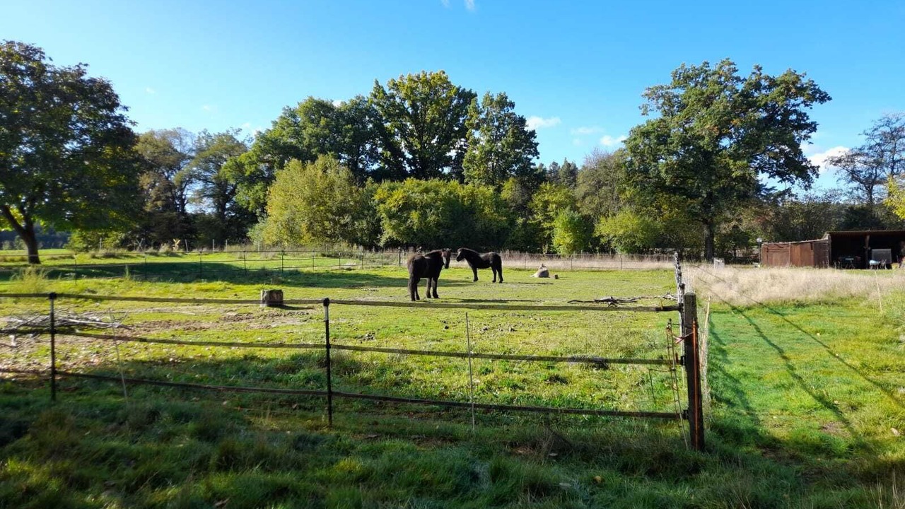 Photo of Others in Bechhofen