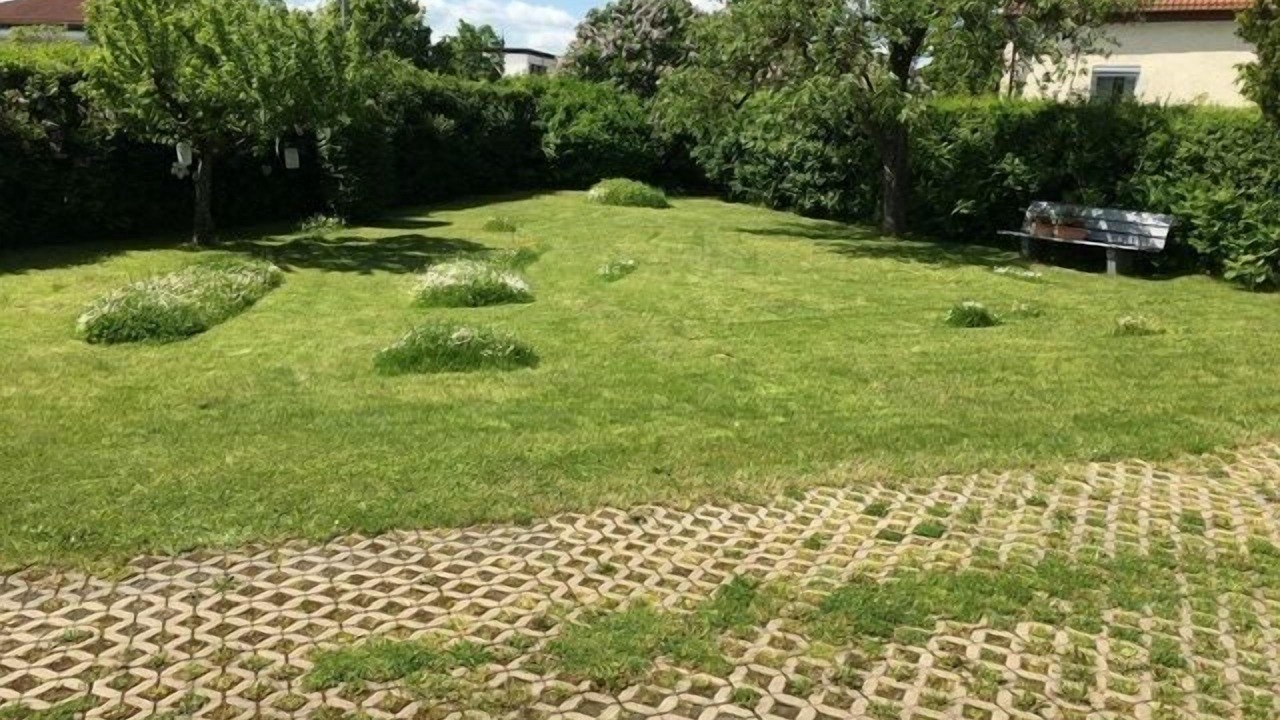 Photo of Outdoor in Rattelsdorf