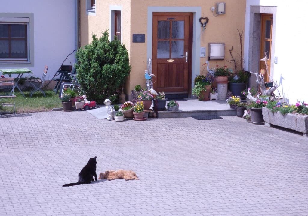 Photo of Outdoor in Chamerau