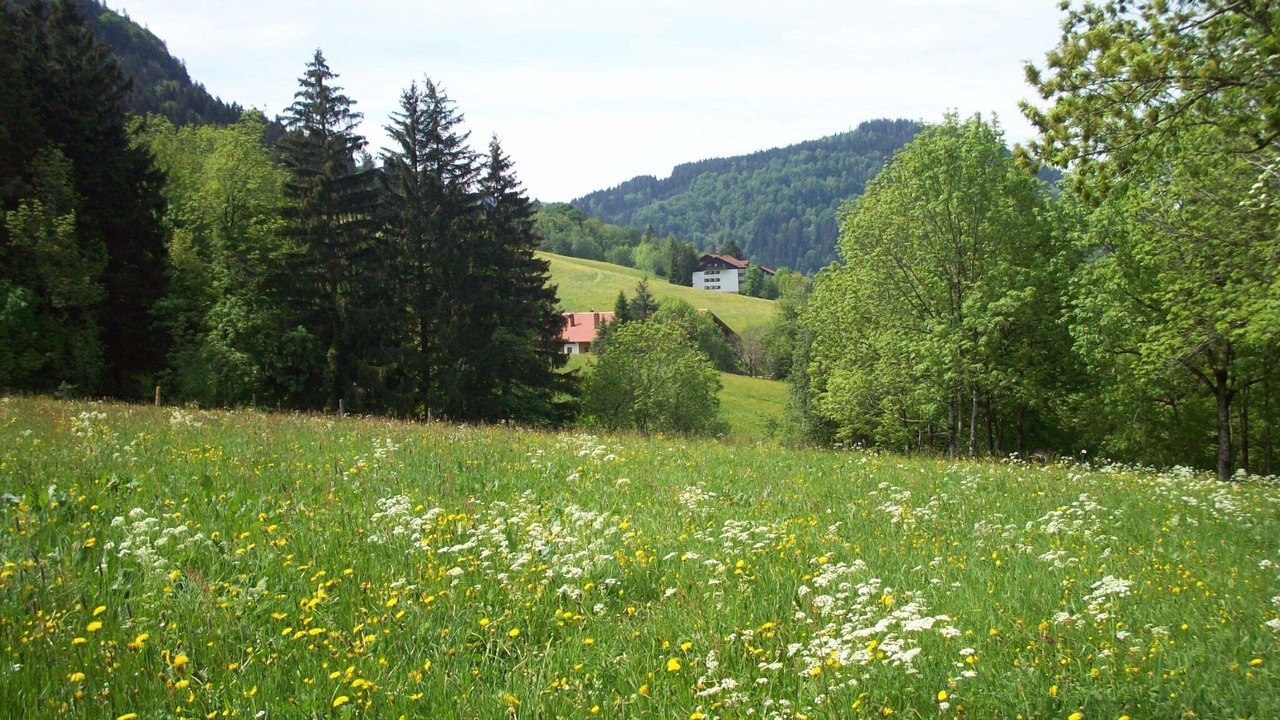 Photo of Others in Missen-Wilhams