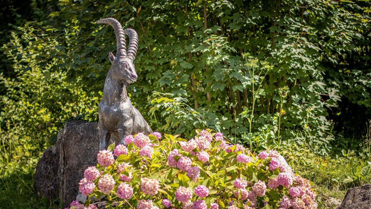Photo of Outdoor in Oberau