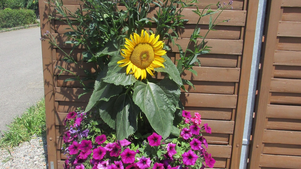 Photo of Outdoor in Peiting