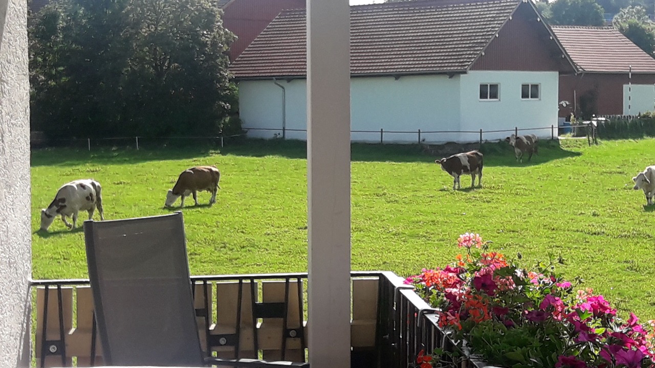 Photo of Outdoor in Peiting