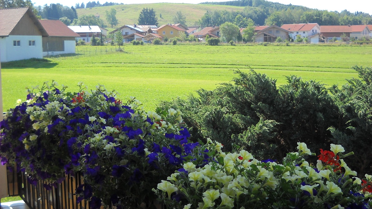 Photo of Outdoor in Peiting