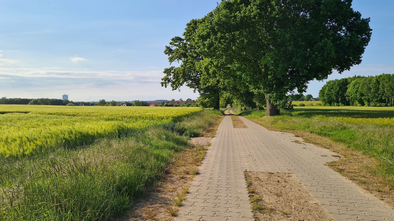 Photo of Outdoor in Schwanbeck