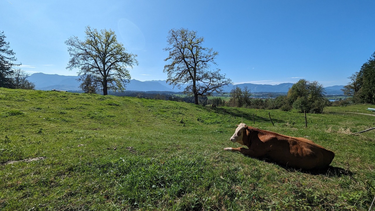 Photo of Outdoor in Riegsee